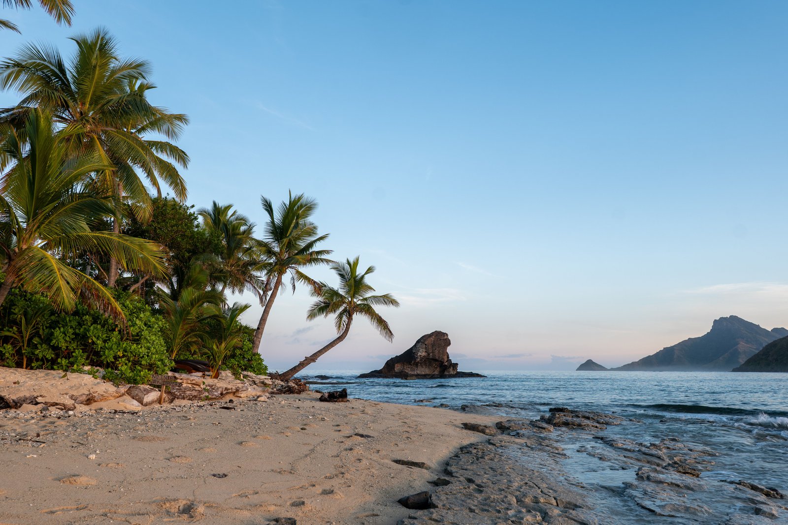 Palm-lined Fiji coastline and blue ocean