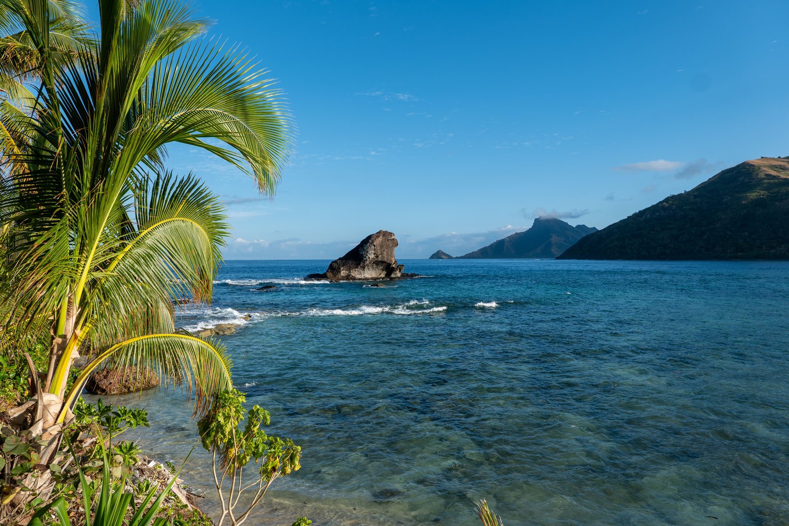 Fiji coastline and palms near the western gateway